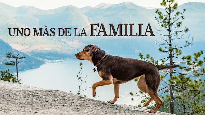 Uno más de la familia